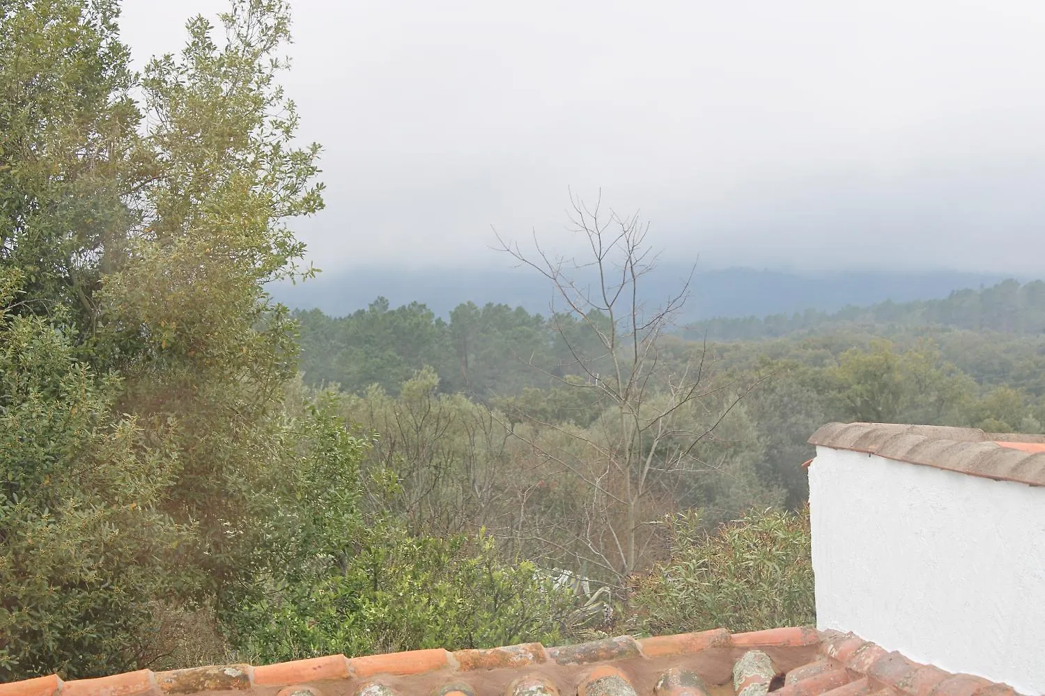 Holiday home Casa Mejorana By Sierra Viva Villa Navahermosa  Spain